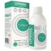 ALINESS Liposol Collagen Liposomal 250 ml
