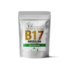 FOREST VITAMIN B17 Amigdalina 100 caps.