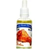 FUNKY FLAVORS Aromat Savory Grilled Chicken 50 ml