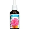 FUNKY FLAVORS Aromat Słodzony 50 ml Raspberry Sorbet / Malina