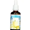 FUNKY FLAVORS Aromat Słodzony 50 ml Banana Milkshake / Szejk Mleczno-Bananowy