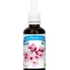 FUNKY FLAVORS Aromat Słodzony 50 ml Sakura Cherry / Kwiat Wiśni