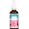 FUNKY FLAVORS Aromat Słodzony 50 ml Bubble Gum / Guma Balonowa