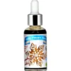 FUNKY FLAVORS Aromat Słodzony 50 ml Gingerbread Cookie / Piernikowy
