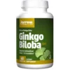 JARROW FORMULAS Ginkgo Biloba 50:1 60 veg caps.