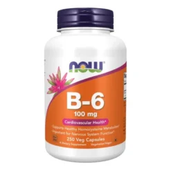 NOW FOODS B-6 100 mg 250 veg caps.