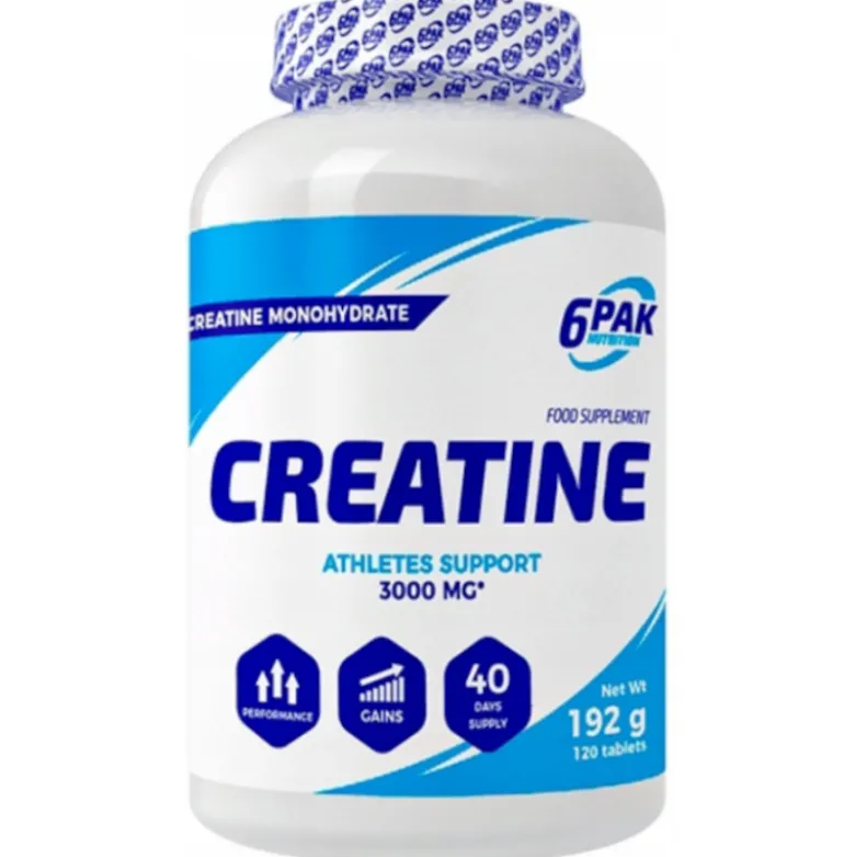 6PAK Creatine Monohydrate 120 tabs.
