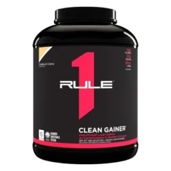 RULE 1 Clean Gainer 2,16 kg-2,19 kg